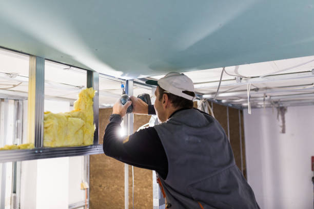 Best Insulation Installation Services in Buffalo, MO