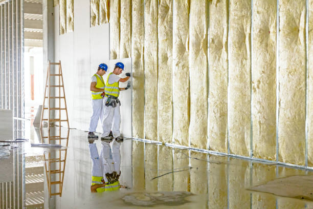 Best Residential Insulation in Buffalo, MO